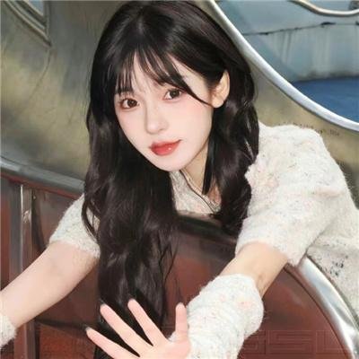 我的老婆是只猫