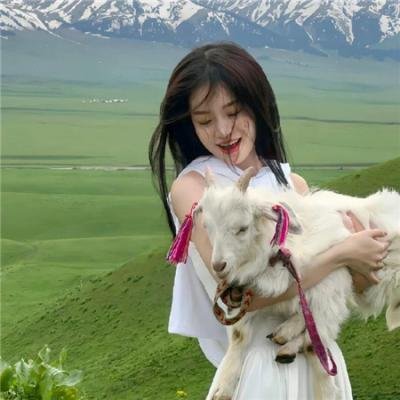 行运一条龙